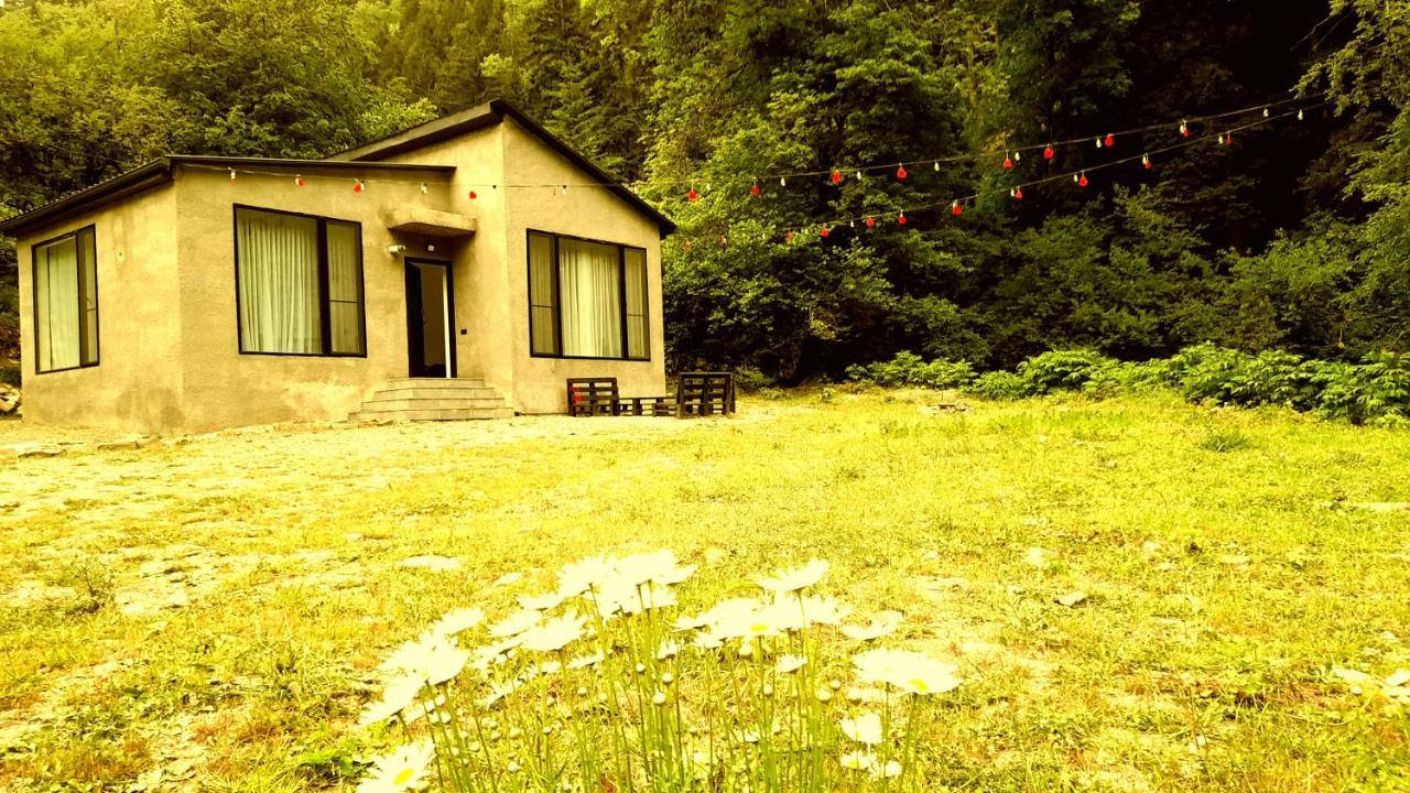 Cozy House In The Forest Borjomi Dış mekan fotoğraf