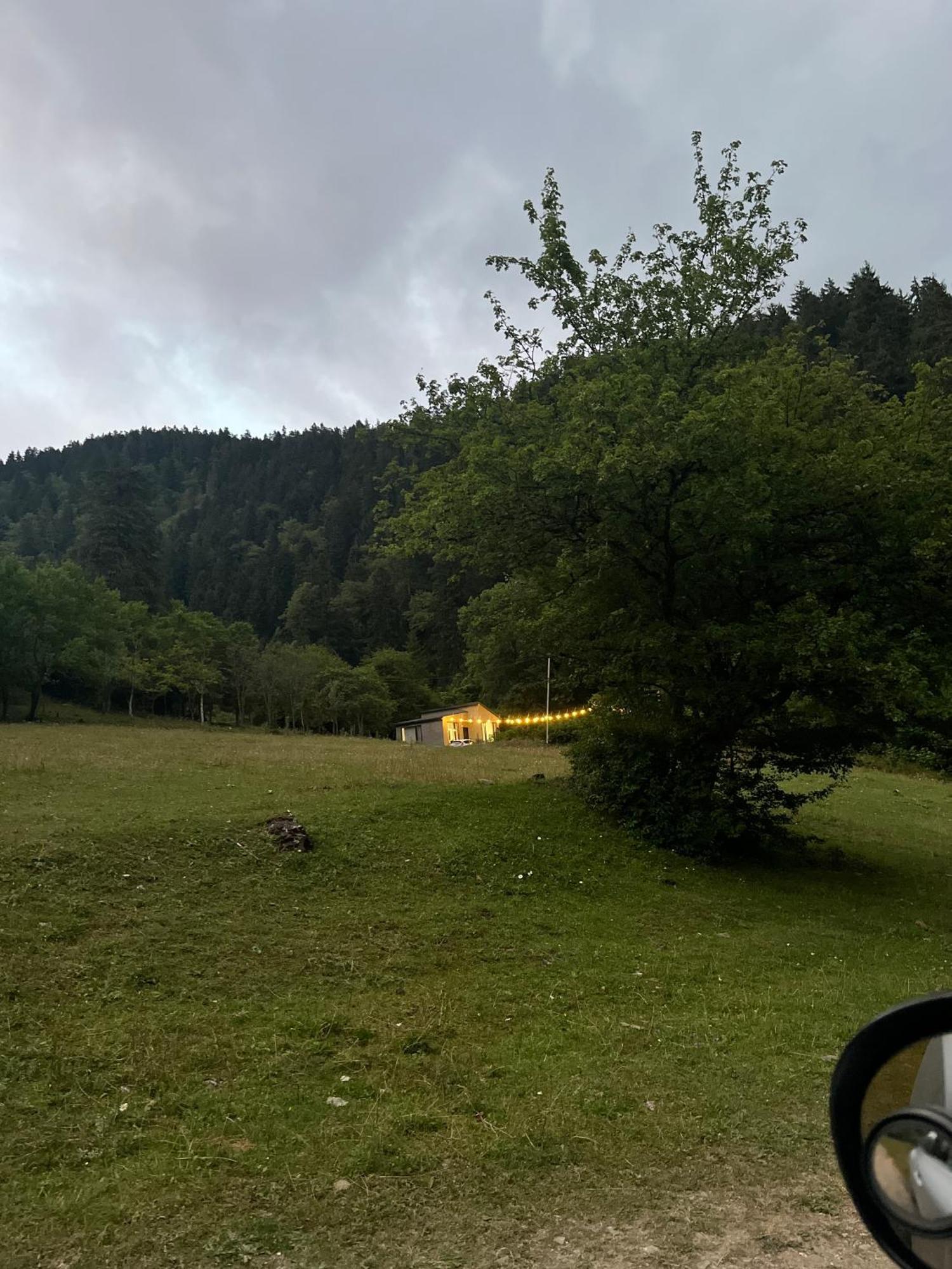 Cozy House In The Forest Borjomi Dış mekan fotoğraf